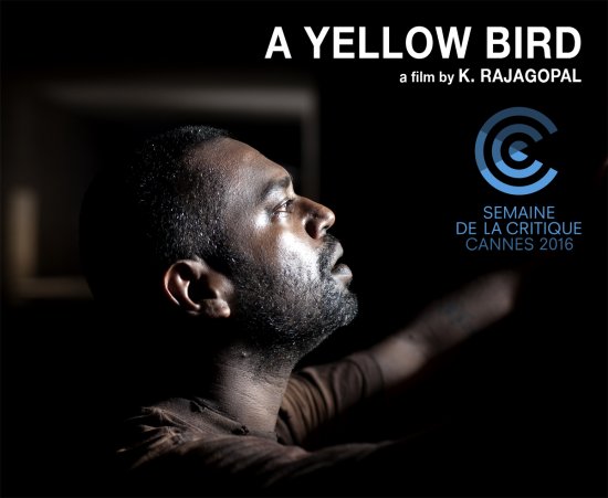 A Yellow Bird selected at Critic’s Week ! 1