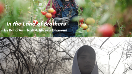 Two Films in Sundance
