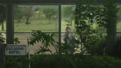 tagreenhouse43