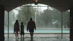 tarainingpool46