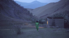 lightgreenfairy