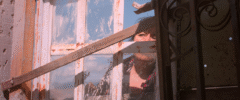 identifyingfeatures_8