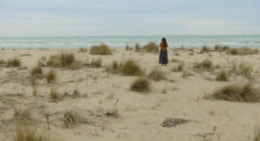 smallbody_5