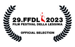 ffdl29selectioncolore