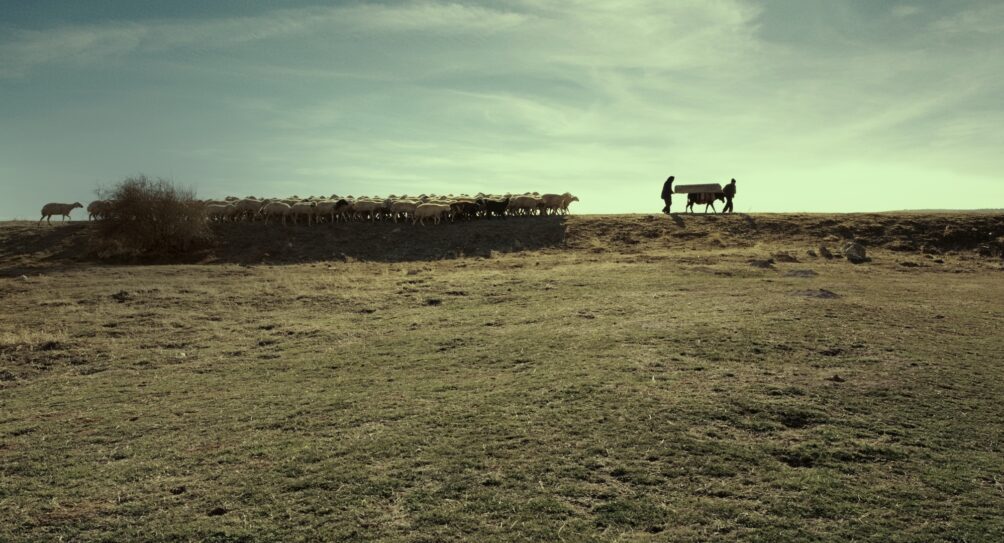 untitled_6.6.130
