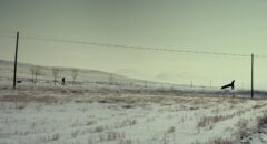 untitled_6.8.130