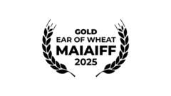 th_e023c99a52a4d2c116e832026e09a6b5_1747319888Gold